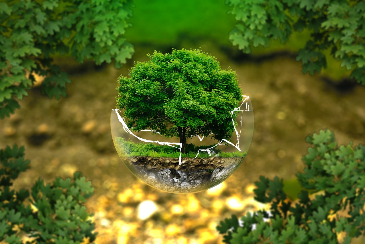 water-enviromental-service Bảo vệ môi trường